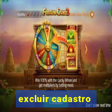 excluir cadastro - casas bahia